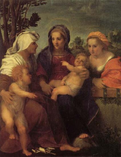 Andrea del Sarto Madonna and Child with St.Catherine Sweden oil painting art